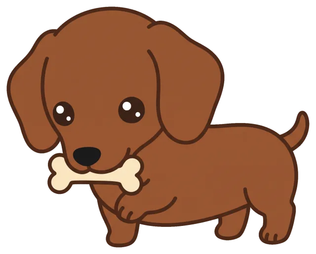 Cute dachshund puppy holding a bone in its mouth