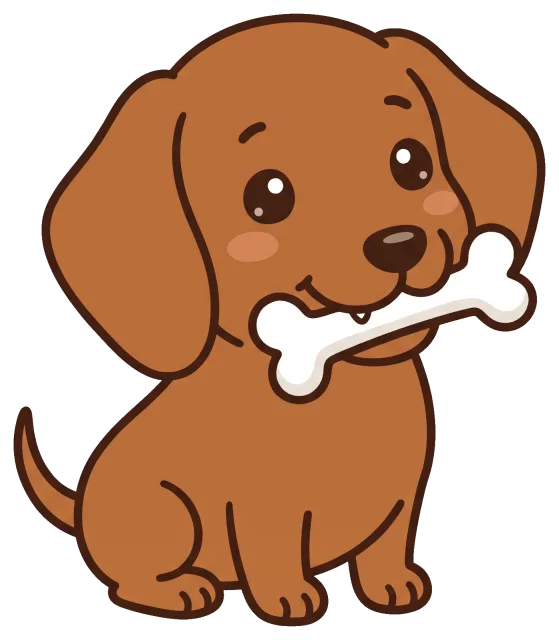 Cute dachshund puppy holding a bone in its mouth