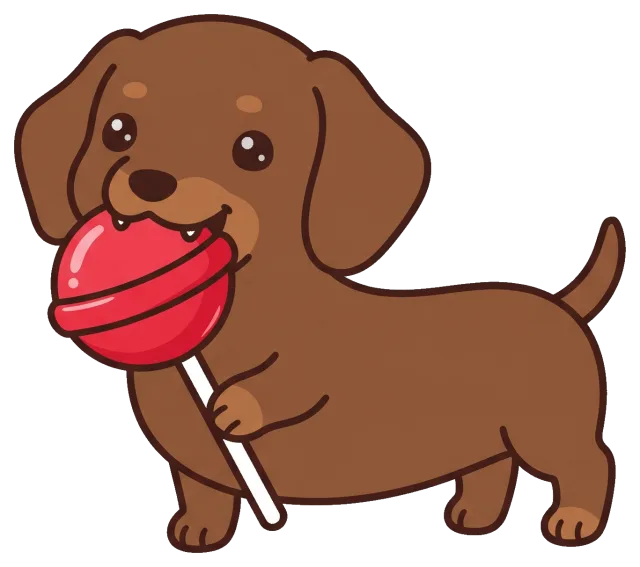 Cute dachshund puppy holding a red lollipop