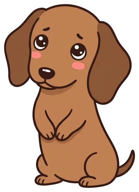 Cute dachshund puppy with big eyes and blushing cheeks