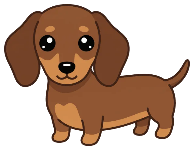 Cute dachshund puppy with big eyes and brown fur
