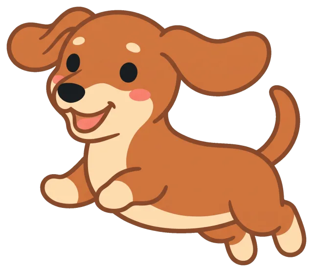 Happy dachshund puppy jumping with floppy ears