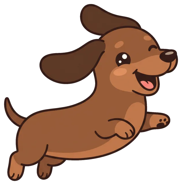 Happy dachshund puppy jumping with joy