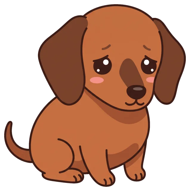 Sad dachshund puppy sitting with big eyes