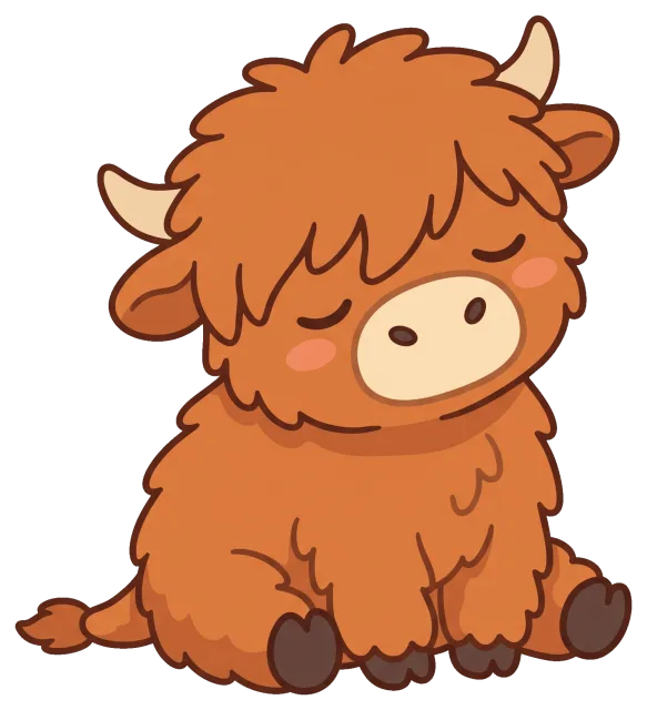 Cute sleeping highland cow with fluffy fur