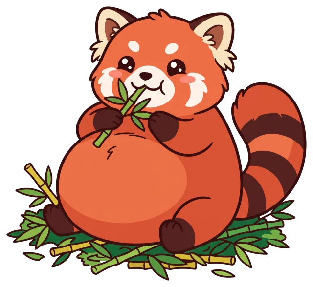 Cute chubby red panda eating bamboo leaves