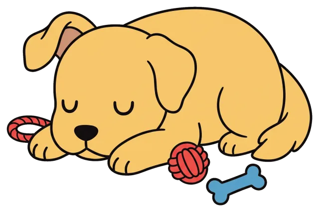 Sleeping puppy with toys