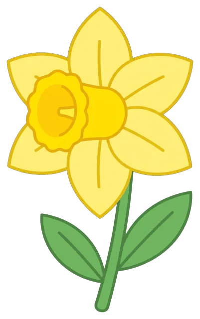 Cartoon daffodil flower with green leaves