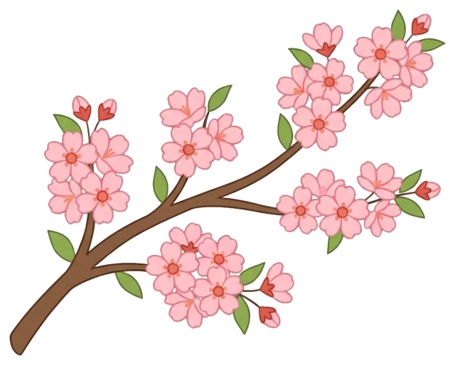 Cherry blossom branch with pink flowers and green leaves