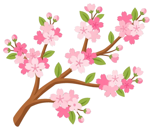 Cherry blossom branch with pink flowers and green leaves