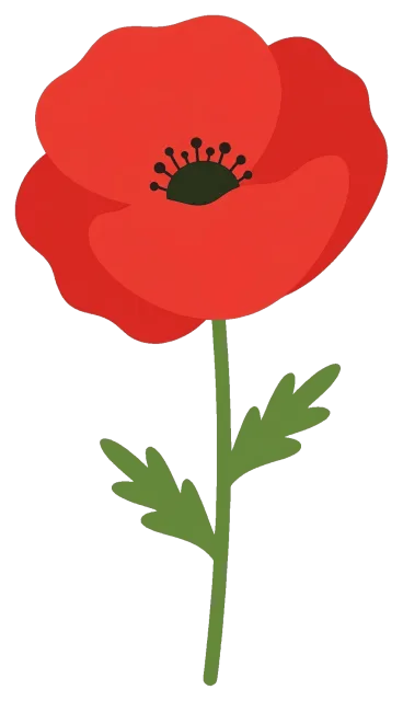 Cute red poppy flower character with green stem and leaves