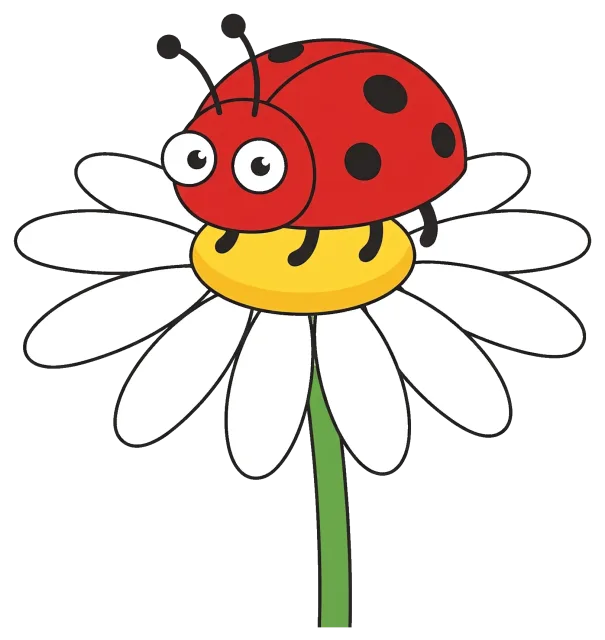Ladybug Sitting on White Daisy Flower
