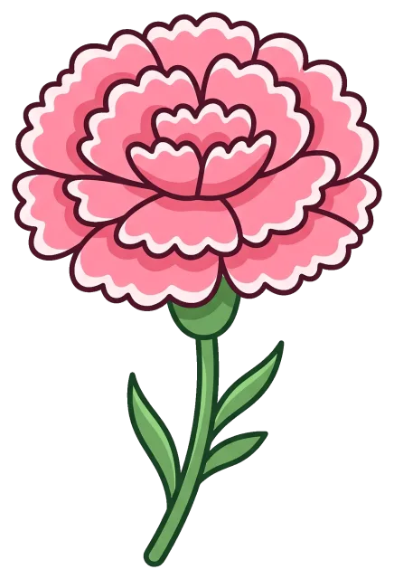 Pink Carnation Flower with Green Stem and Leaves
