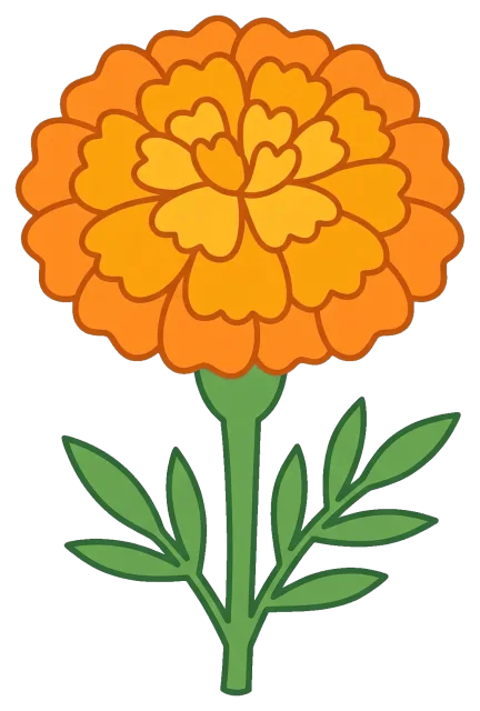 Bright orange marigold flower with green stem and leaves