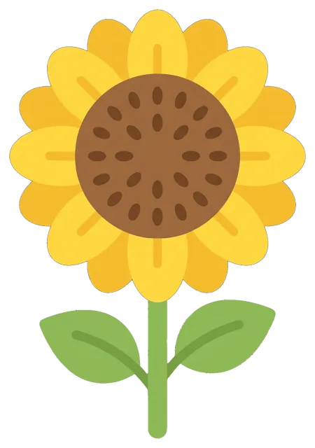 Bright sunflower with green leaves on grey background