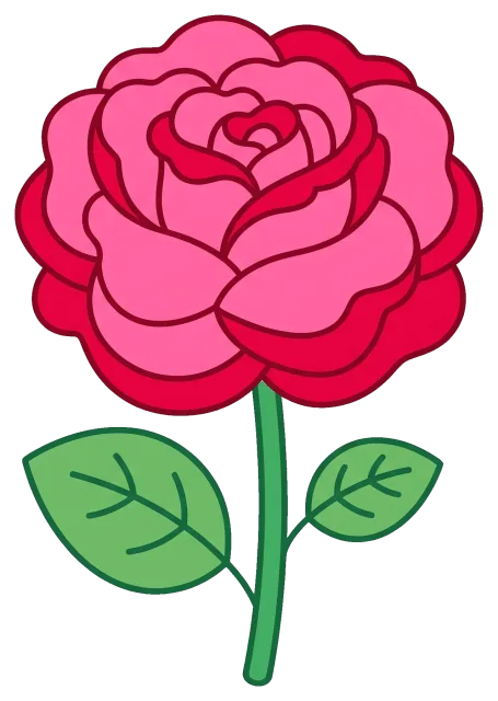 Red and pink rose with green leaves