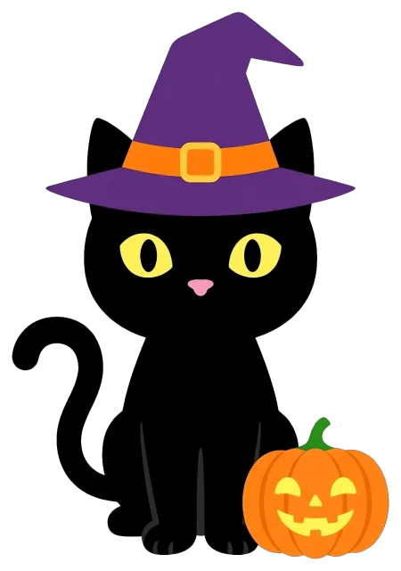 Black Cat Wearing Witch Hat with Jack-o'-Lantern Pumpkin