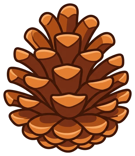 Brown pine cone illustration with detailed scales