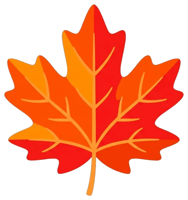 Colorful maple leaf with orange and red shades