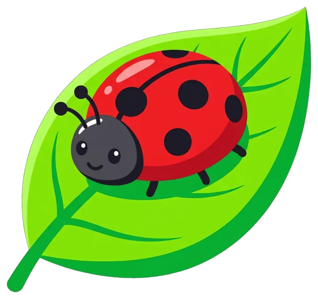 Cute ladybug on a green leaf