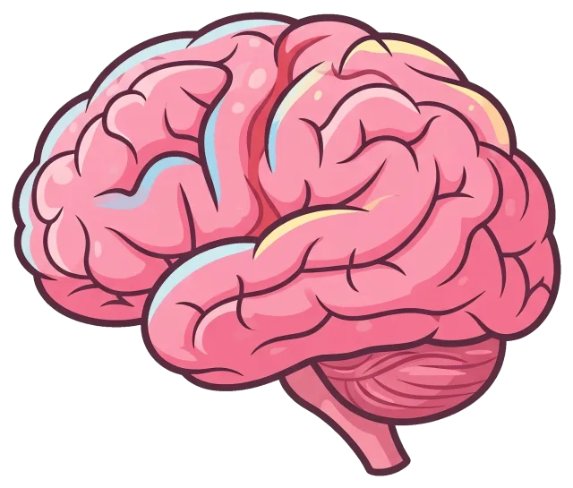 Cartoon Brain with Detailed Folds and Pink Coloring