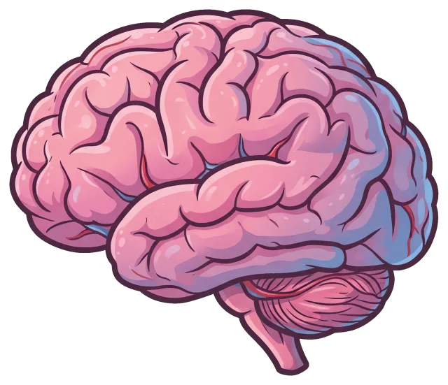 Cartoon illustration of a human brain side view