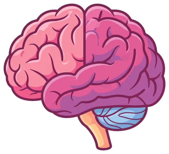 Cartoon illustration of a human brain with cerebellum