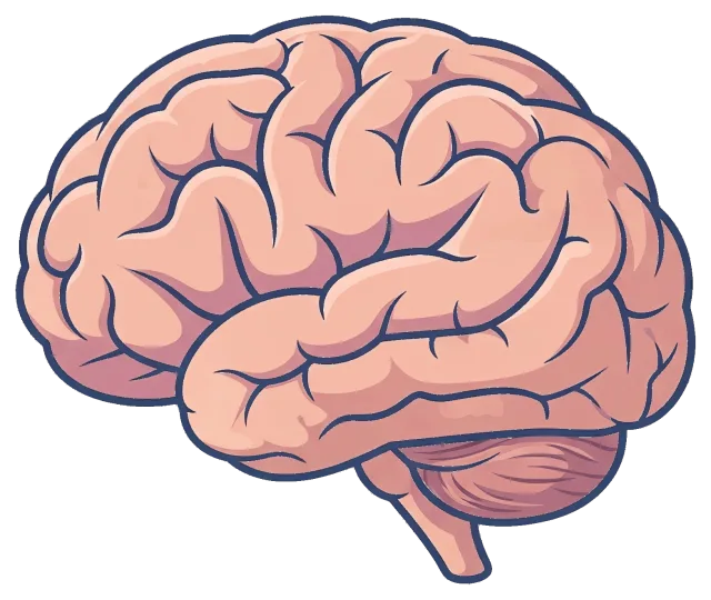Cartoon Illustration of Human Brain Side View