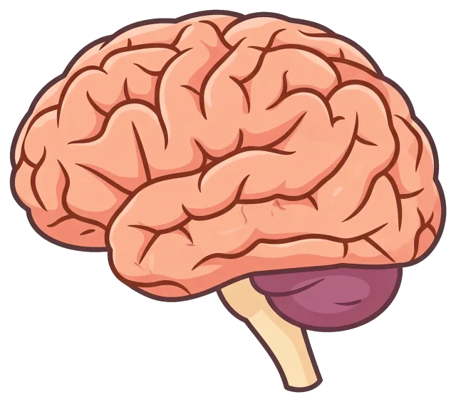 Cartoon Style Human Brain Side View