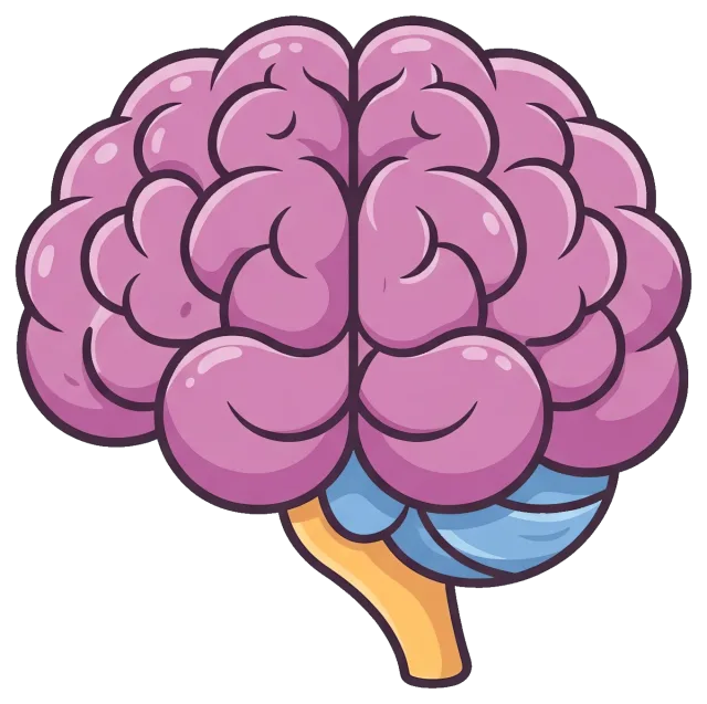 Cartoon Style Human Brain with Cerebellum and Brainstem