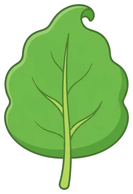Cute green leaf with curled tip and visible veins
