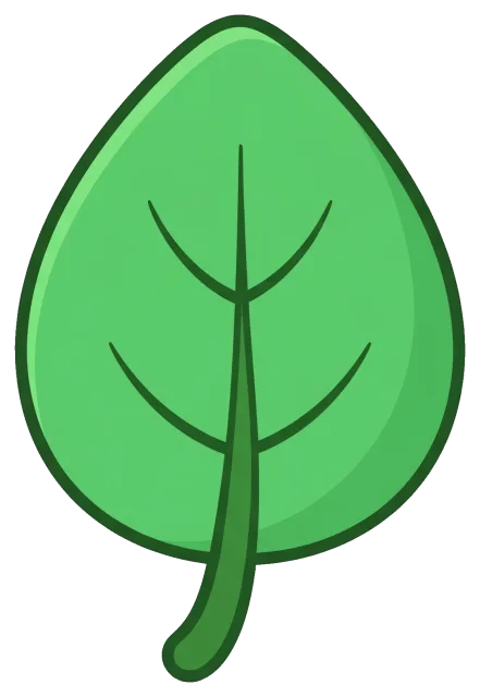 Cute green leaf with simple veins
