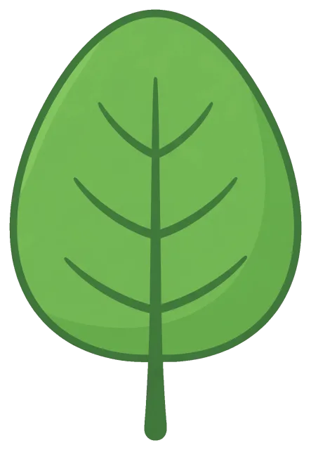 Cute green leaf with simple veins