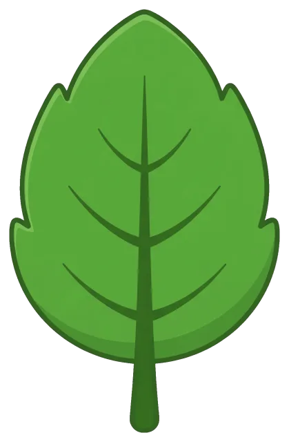 Green Leaf with Central Vein on Dark Background