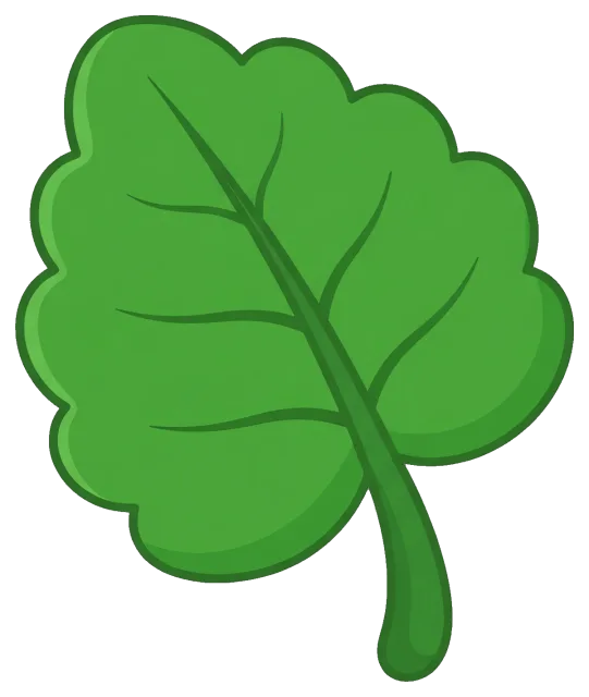 Green leaf with prominent veins on grey background