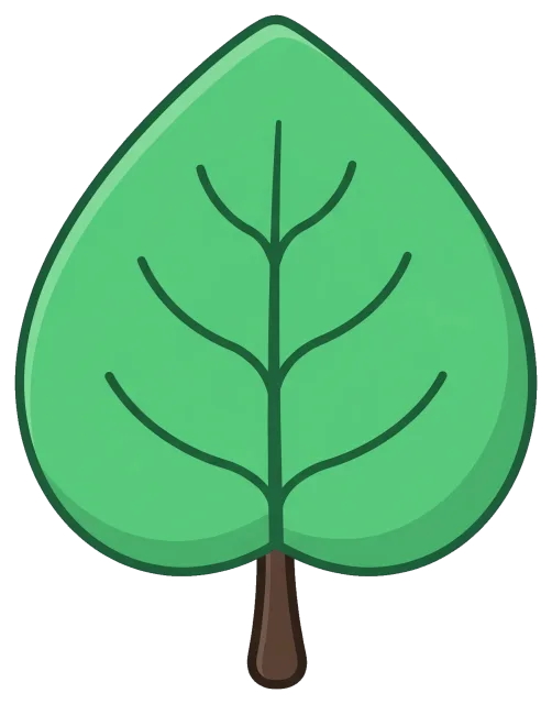 Green leaf with visible veins on grey background