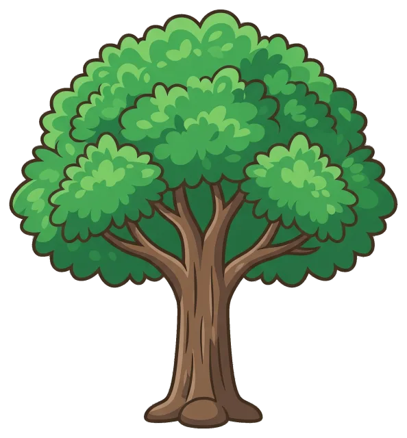Green leafy tree with thick trunk and multiple branches
