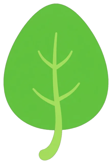 Simple green leaf with visible veins