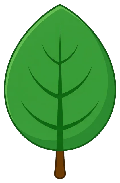Simple green leaf with visible veins and brown stem