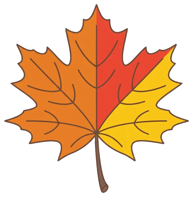 Colorful fall maple leaf with orange, red, and yellow sections