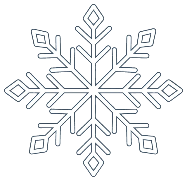 Detailed symmetrical snowflake with geometric branches