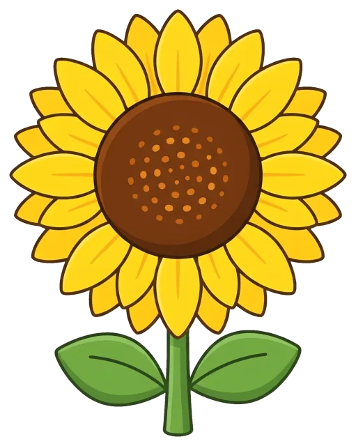 Bright sunflower with green leaves on grey background