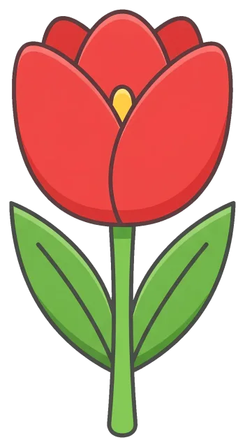 Red Tulip Flower with Green Leaves