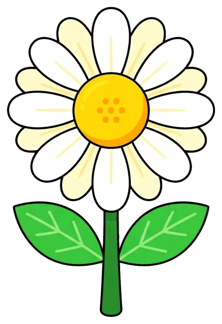Spring daisy flower with green leaves on grey background