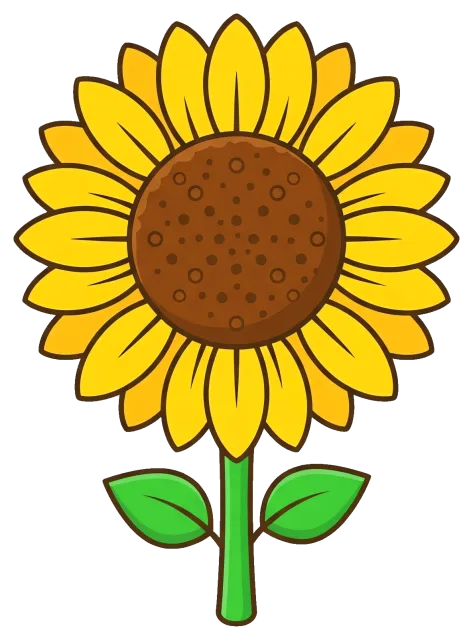 Sunflower centered on grey background with green leaves