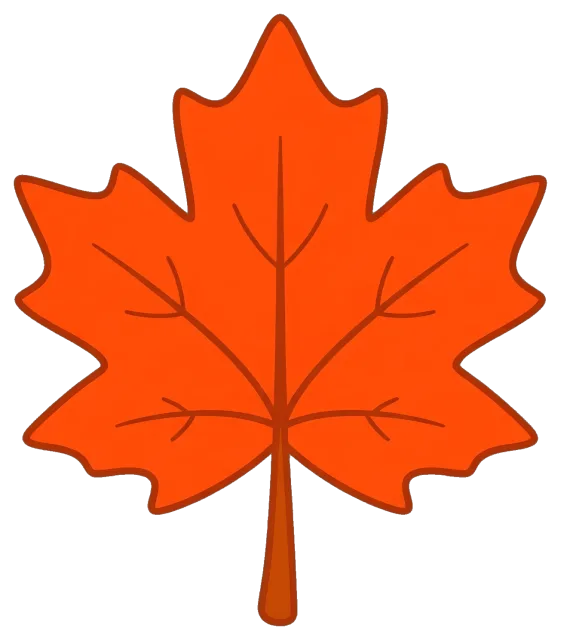Bright orange fall maple leaf with visible veins