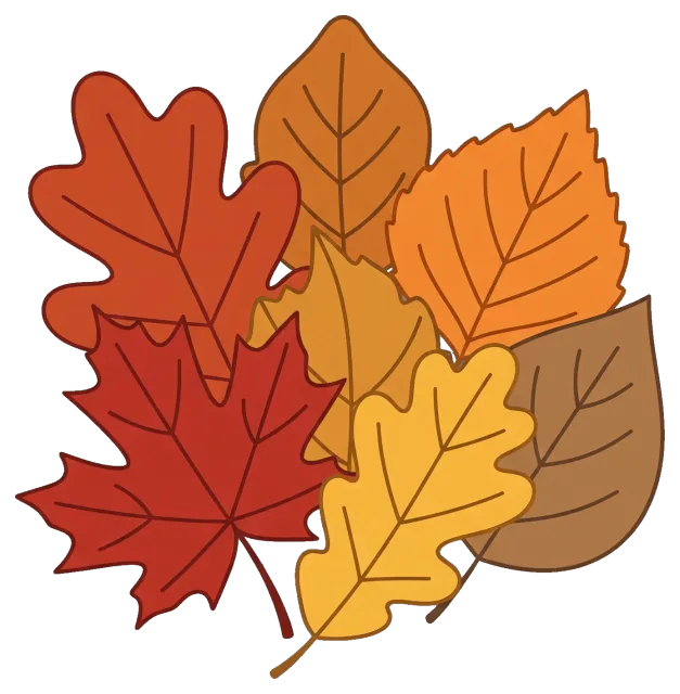 Colorful fall leaves in autumn colors