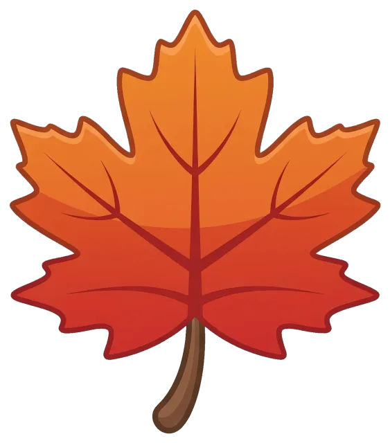 Orange and red fall maple leaf