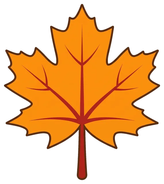 Orange Fall Maple Leaf with Brown Veins